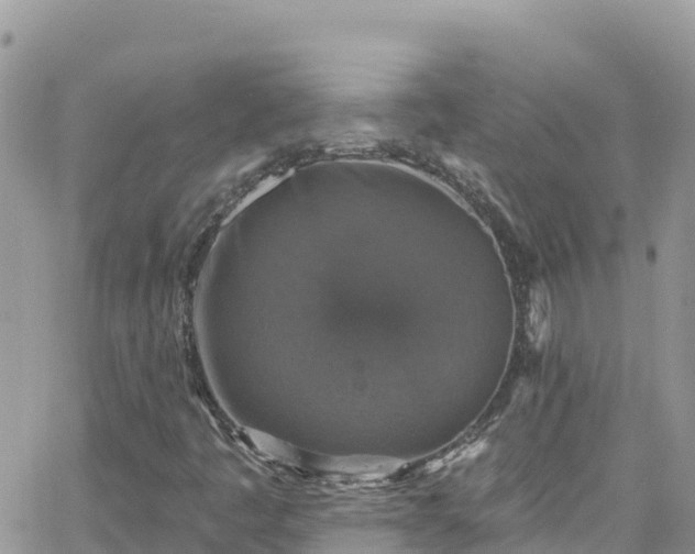 X0000066511445200603241255