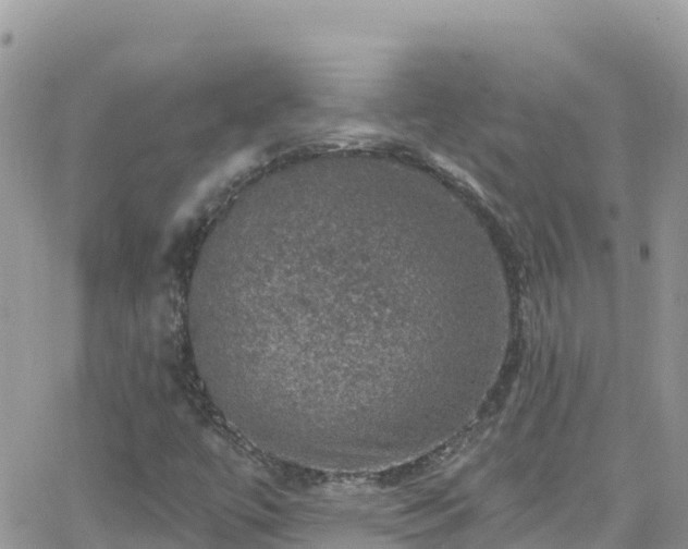 X0000066511447200603241255