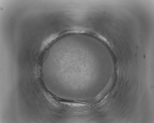 X0000066511448200603241255