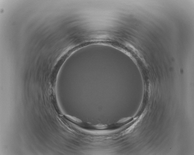 X0000066511449200603241255