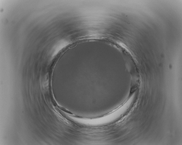 X0000066511450200603241255