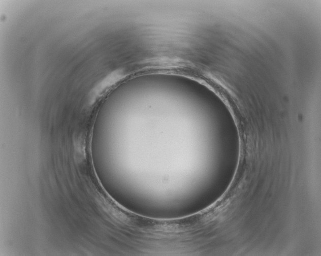 X0000066511451200603241254