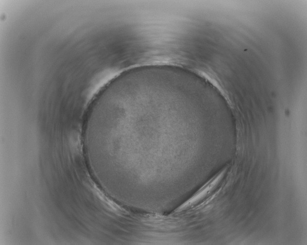 X0000066511452200603241254