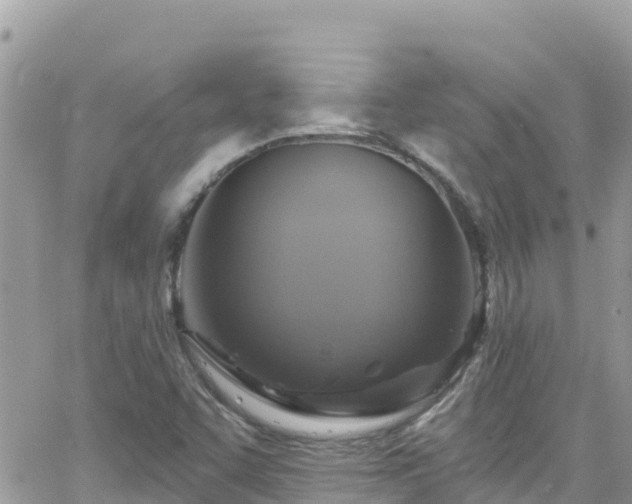 X0000066511455200603241254