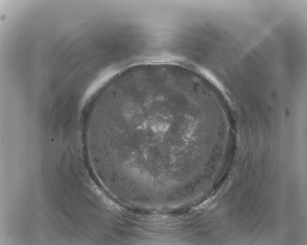 X0000066511456200603241254