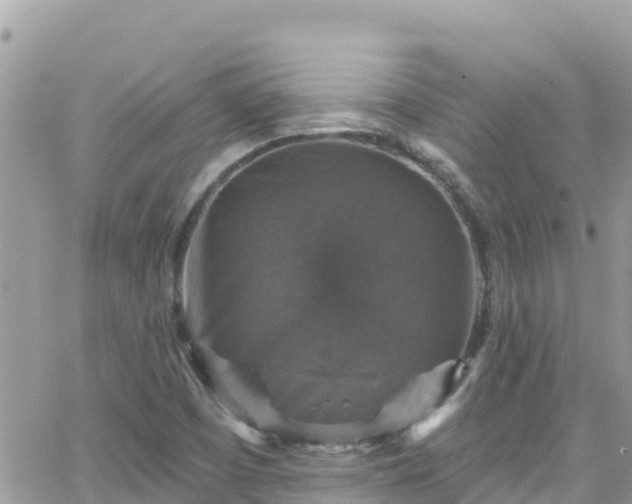 X0000066511457200603241254