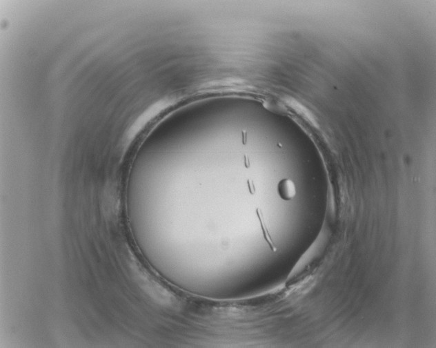 X0000066511458200603241254