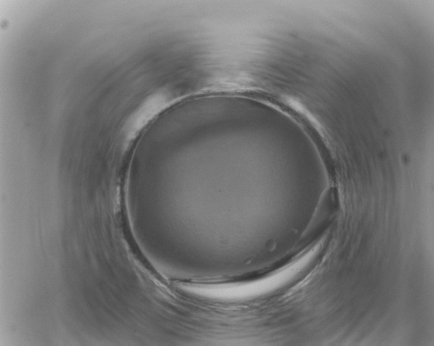 X0000066511459200603241254