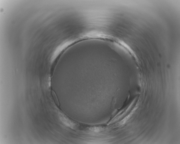 X0000066511461200603241254