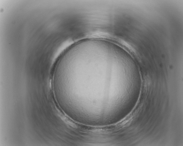 X0000066511462200603241254