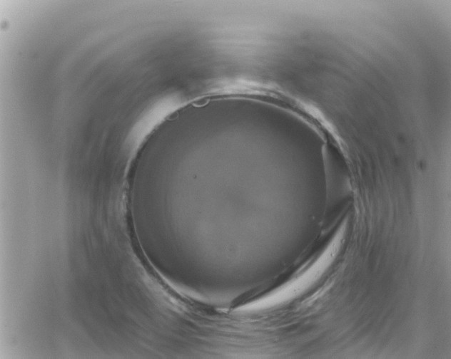 X0000066511463200603241254