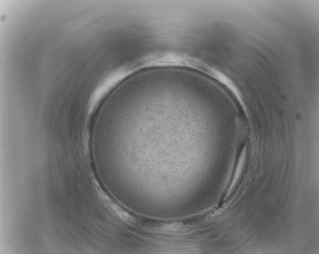 X0000066511464200603241254