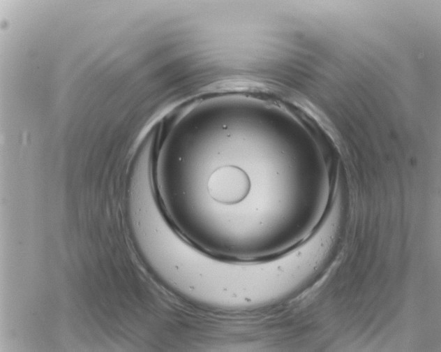 X0000066511465200603241254