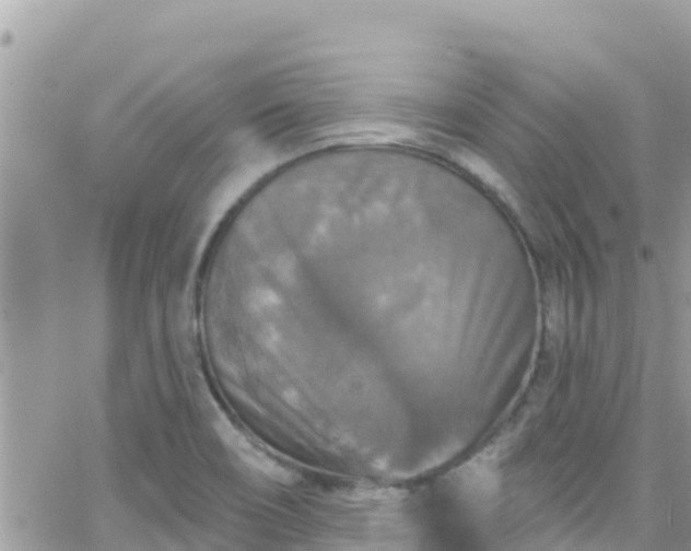 X0000066511466200603241254