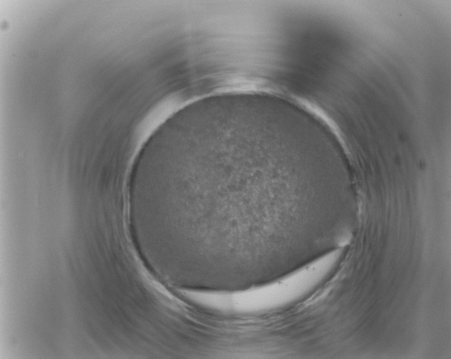 X0000066511467200603241254