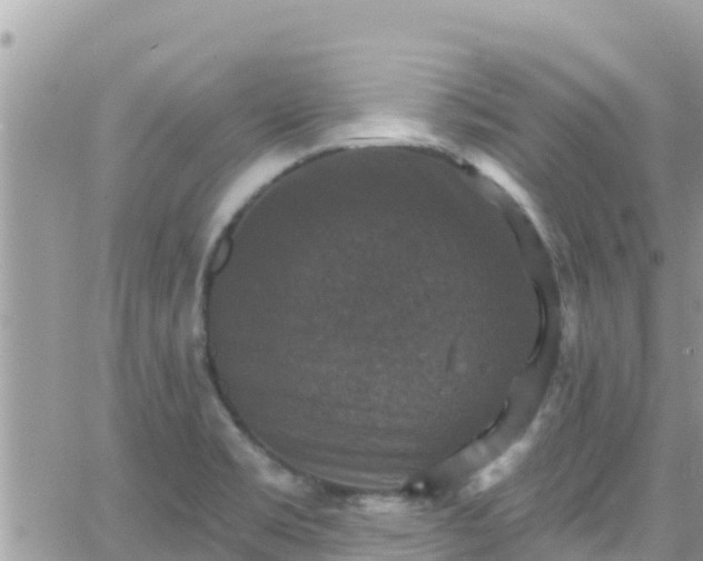 X0000066511469200603241254