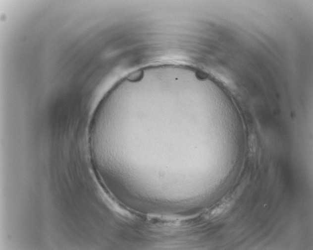 X0000066511470200603241254