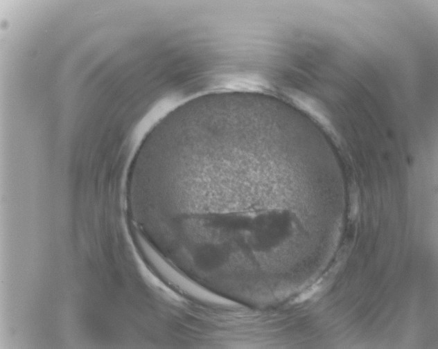 X0000066511471200603241254