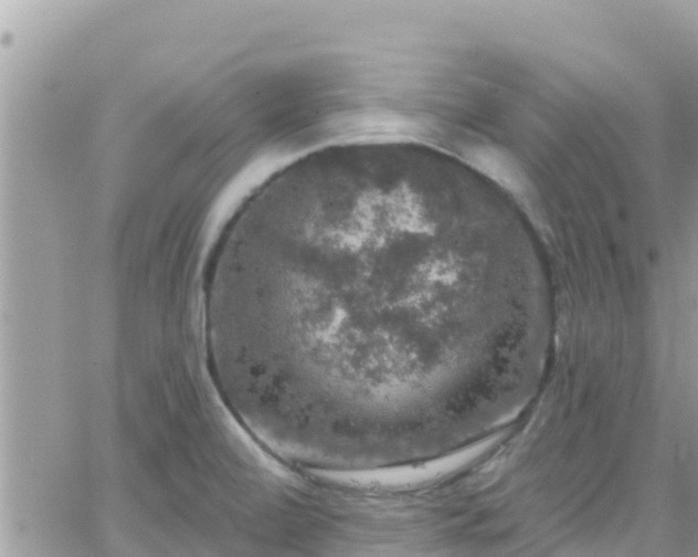 X0000066511472200603241254