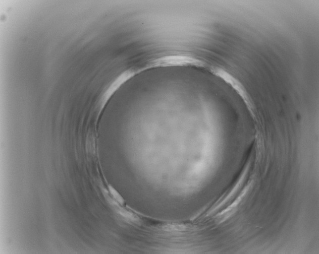 X0000066511473200603241254