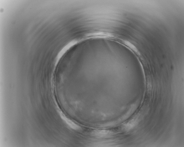 X0000066511474200603241254