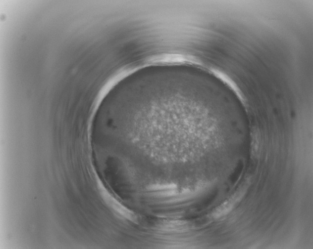 X0000066511475200603241254