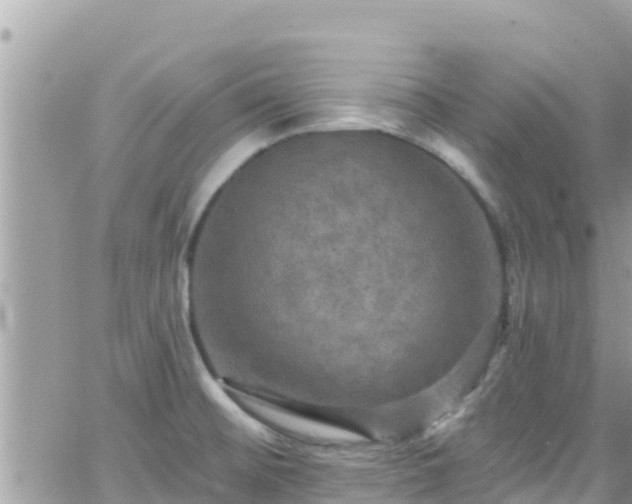 X0000066511476200603241254