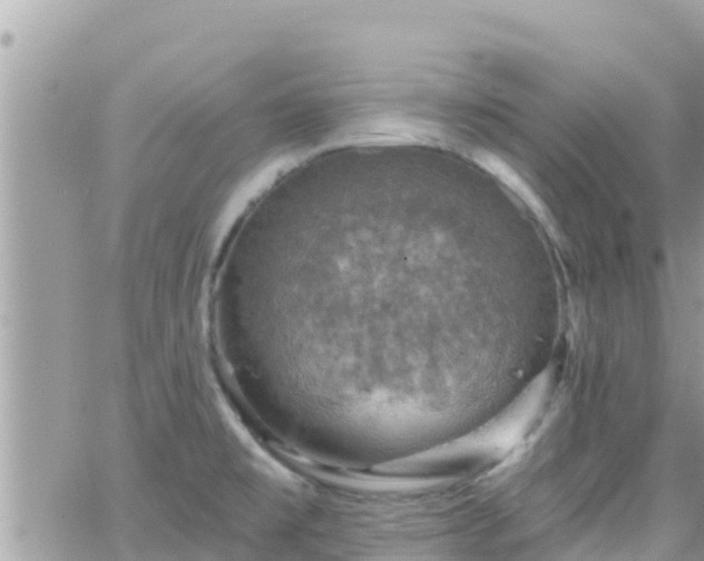 X0000066511477200603241254