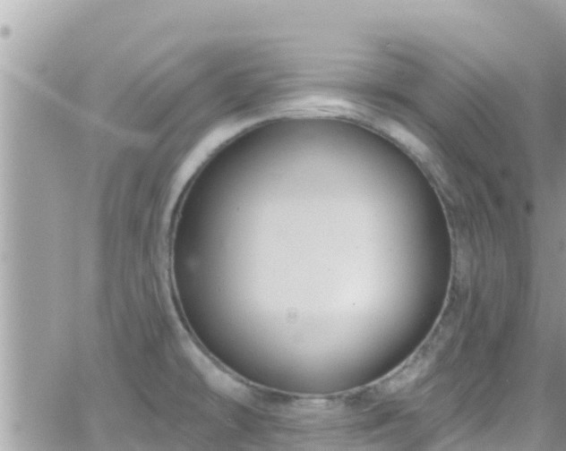 X0000066511478200603241254