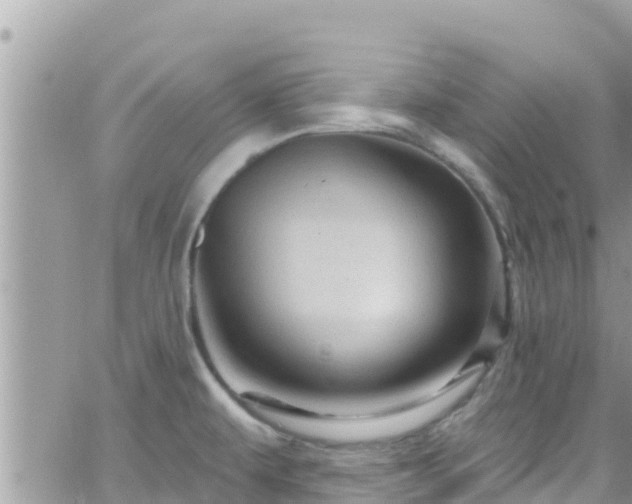 X0000066511479200603241254