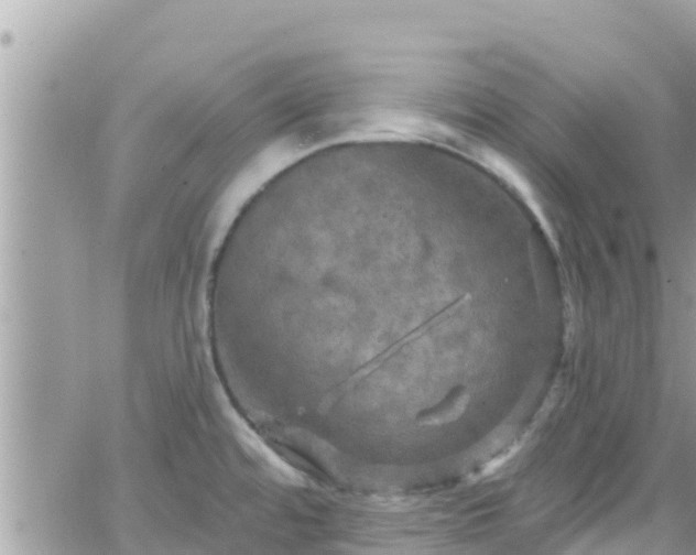 X0000066511480200603241254