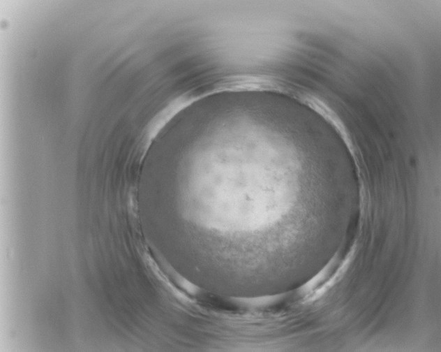 X0000066511481200603241254