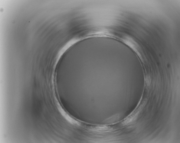 X0000066511482200603241254