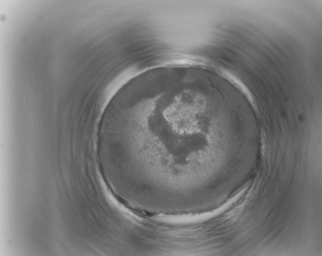 X0000066511483200603241254