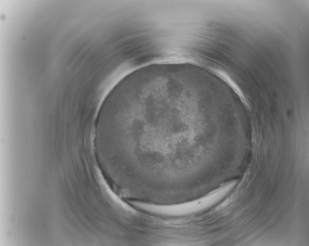 X0000066511484200603241254