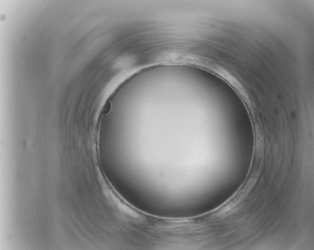 X0000066511486200603241254