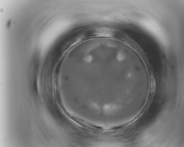 X0000066511487200603241254