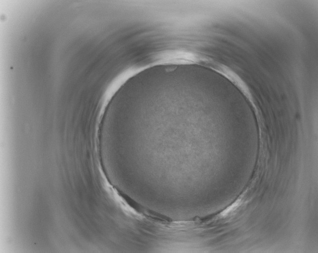 X0000066511488200603241254