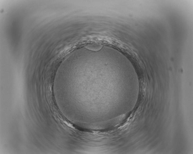 X0000066511489200603241253