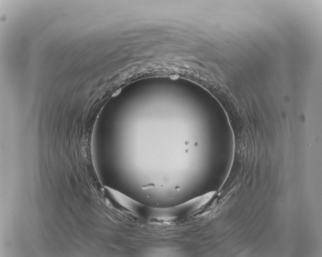 X0000066511490200603241253