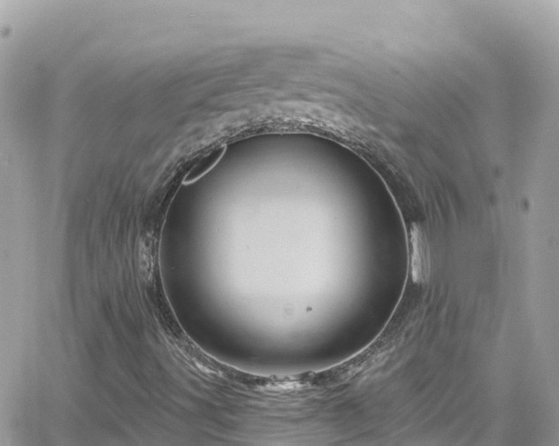 X0000066511491200603241253