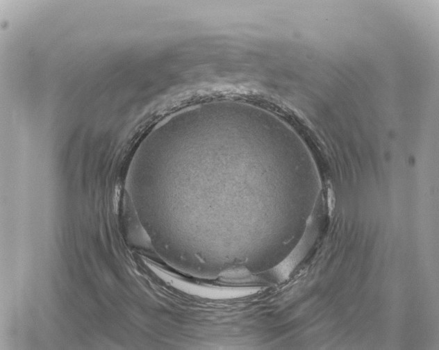 X0000066511492200603241253