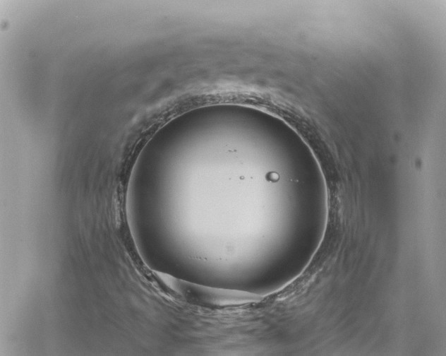 X0000066511493200603241253