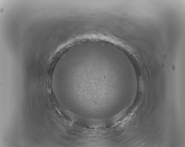 X0000066511494200603241253