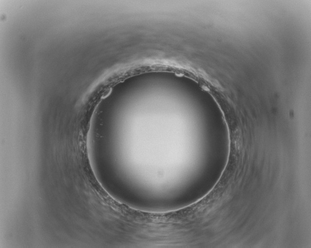 X0000066511495200603241253