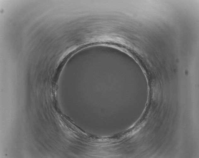 X0000066511497200603241253