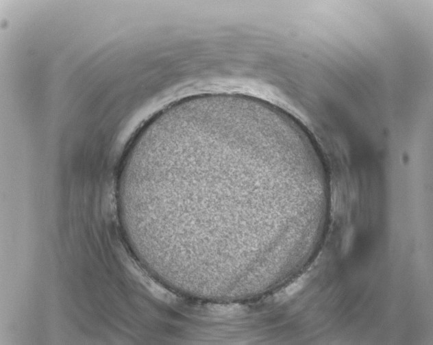 X0000066511498200603241253