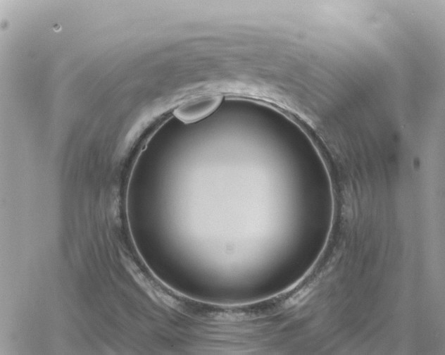 X0000066511499200603241253