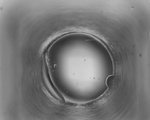 X0000066511503200603241253