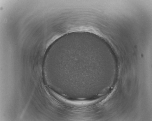 X0000066511505200603241253